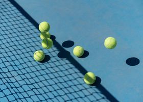 Westmeadow Courts
